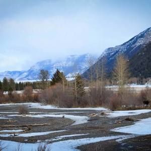 Meet your Posher, Anne